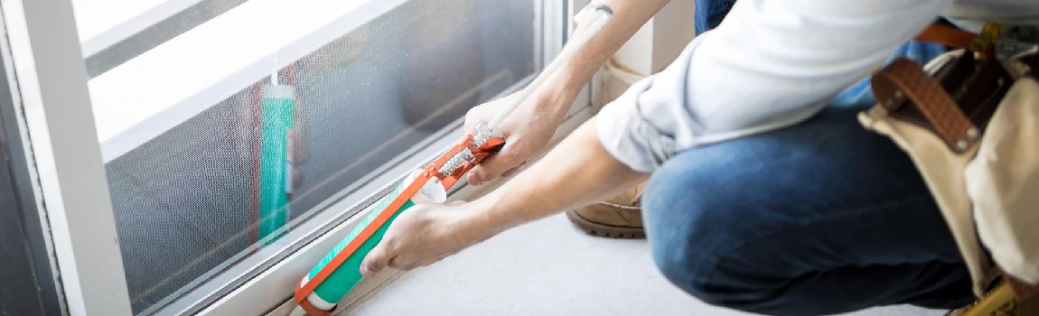 Emergency Window Replacement Services in Fountainebleau