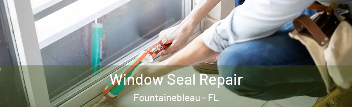  Window Seal Repair Fountainebleau - FL